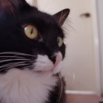 DSC00879
